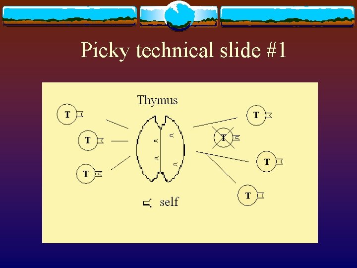 Picky technical slide #1 