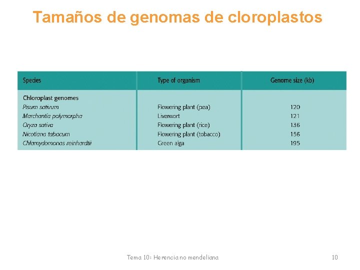 Tamaños de genomas de cloroplastos Tema 10: Herencia no mendeliana 10 