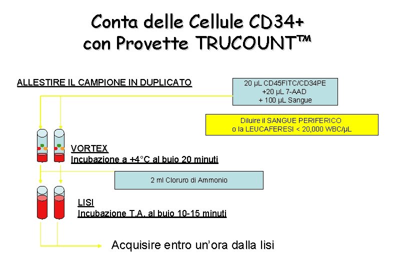 Conta delle Cellule CD 34+ con Provette TRUCOUNT™ ALLESTIRE IL CAMPIONE IN DUPLICATO 20