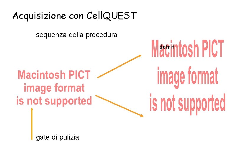 Acquisizione con Cell. QUEST sequenza della procedura detriti gate di pulizia 