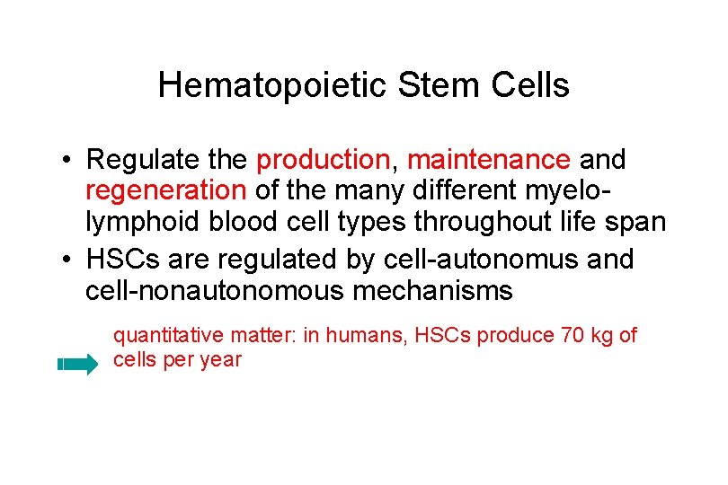 Hematopoietic Stem Cells • Regulate the production, maintenance and regeneration of the many different