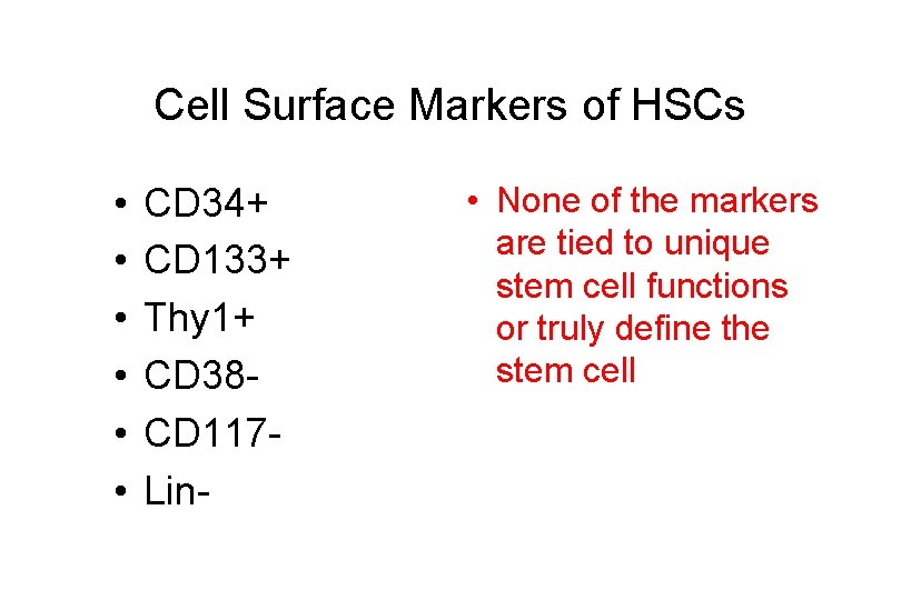 Cell Surface Markers of HSCs • • • CD 34+ CD 133+ Thy 1+