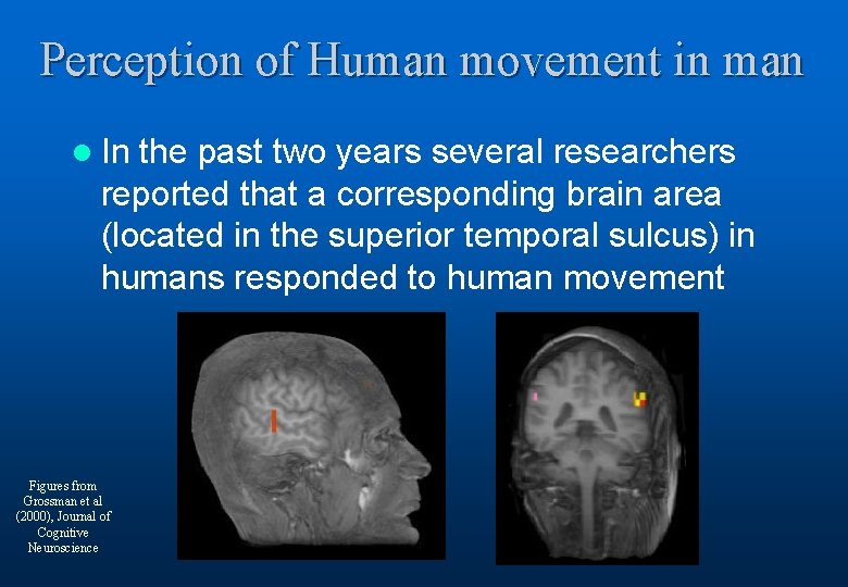 Perception of Human movement in man l In the past two years several researchers