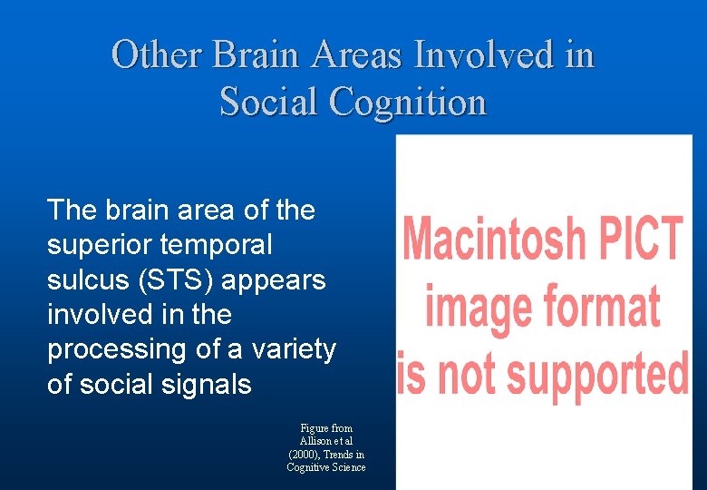 Other Brain Areas Involved in Social Cognition The brain area of the superior temporal