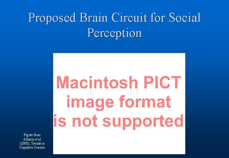 Proposed Brain Circuit for Social Perception Figure from Allison et al (2000), Trends in