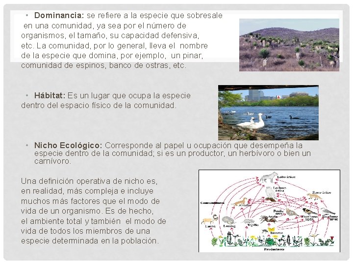  • Dominancia: se refiere a la especie que sobresale en una comunidad, ya