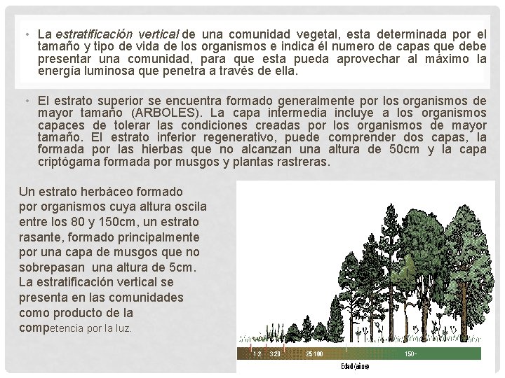  • La estratificación vertical de una comunidad vegetal, esta determinada por el tamaño