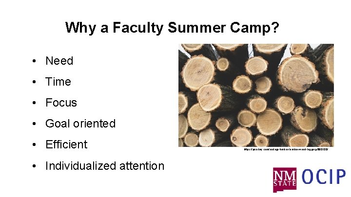 Why a Faculty Summer Camp? • Need • Time • Focus • Goal oriented