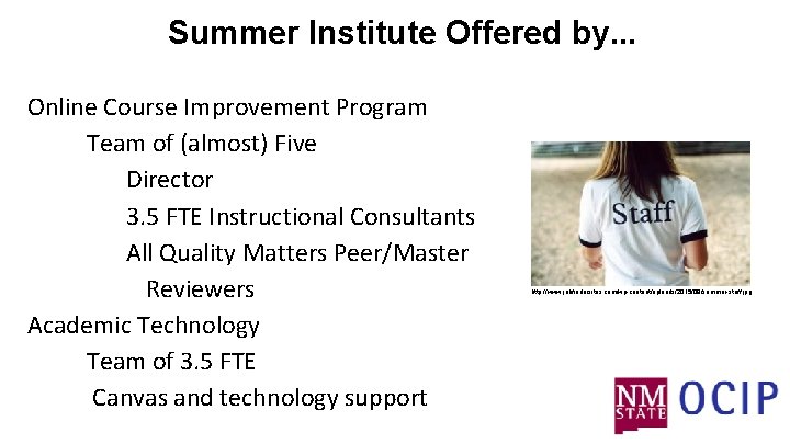 Summer Institute Offered by. . . Online Course Improvement Program Team of (almost) Five