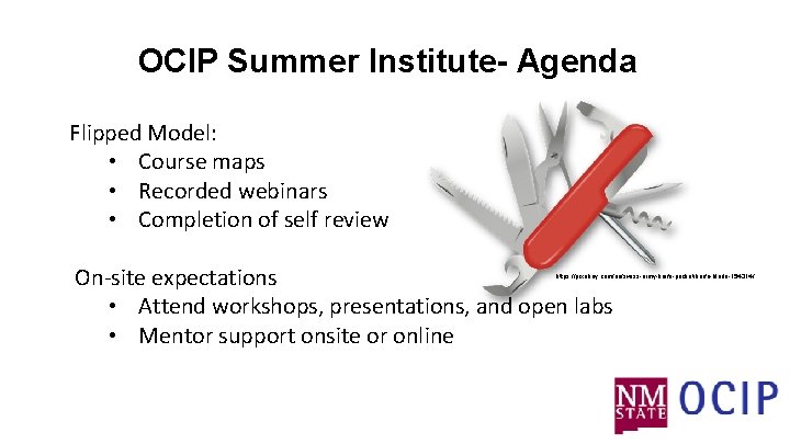 OCIP Summer Institute- Agenda Flipped Model: • Course maps • Recorded webinars • Completion