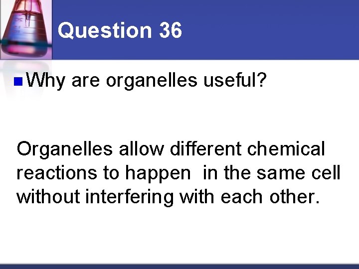 Question 36 n Why are organelles useful? Organelles allow different chemical reactions to happen