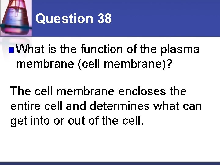 Question 38 n What is the function of the plasma membrane (cell membrane)? The