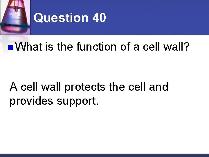 Question 40 n What is the function of a cell wall? A cell wall