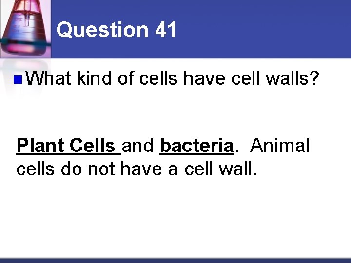 Question 41 n What kind of cells have cell walls? Plant Cells and bacteria.