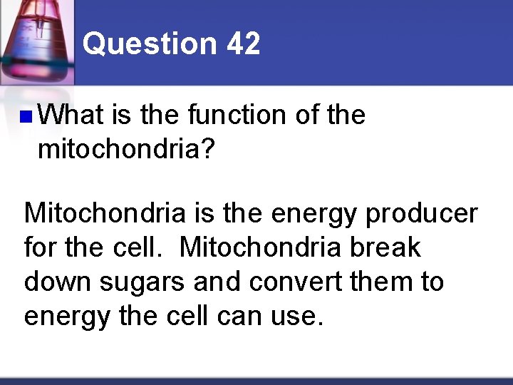 Question 42 n What is the function of the mitochondria? Mitochondria is the energy