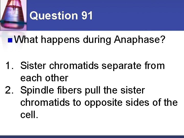 Question 91 n What happens during Anaphase? 1. Sister chromatids separate from each other