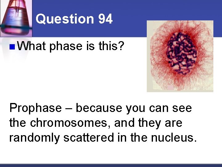 Question 94 n What phase is this? Prophase – because you can see the