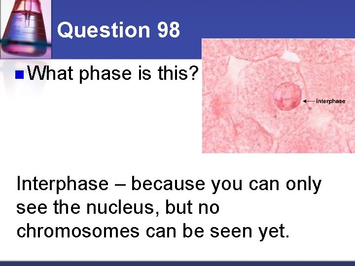 Question 98 n What phase is this? Interphase – because you can only see