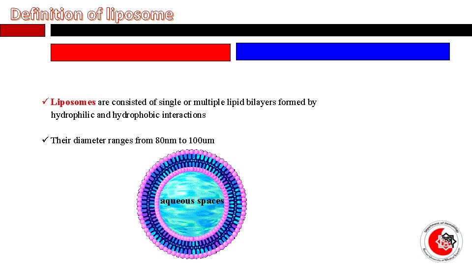 Definition of liposome ü Liposomes are consisted of single or multiple lipid bilayers formed