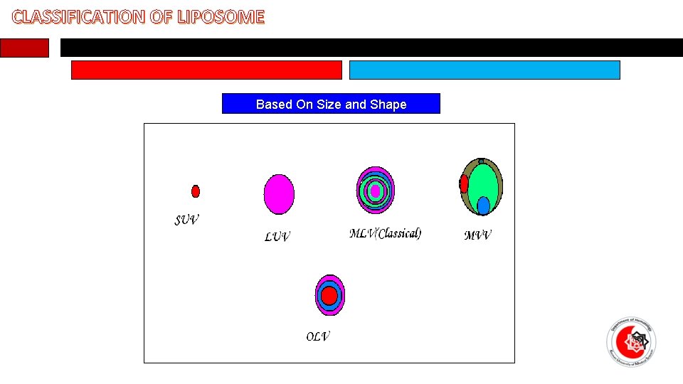 CLASSIFICATION OF LIPOSOME Based On Size and Shape 