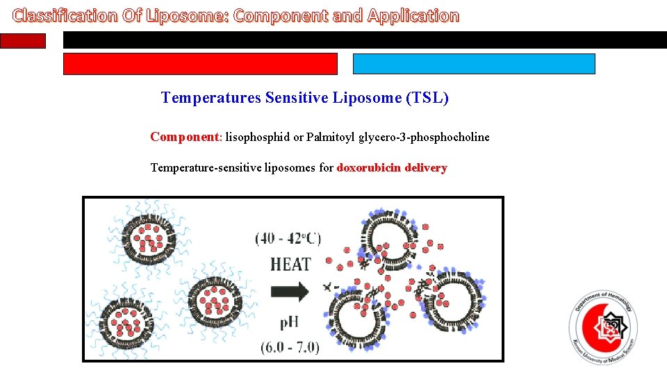 Classification Of Liposome: Component and Application Temperatures Sensitive Liposome (TSL) Component: lisophosphid or Palmitoyl