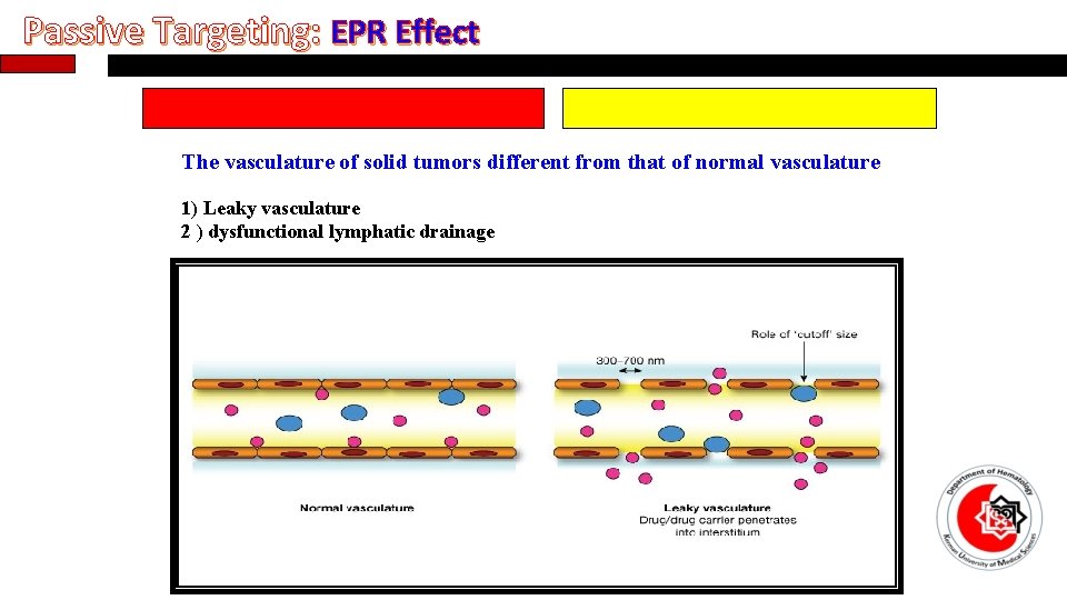 Passive Targeting: EPR Effect The vasculature of solid tumors different from that of normal
