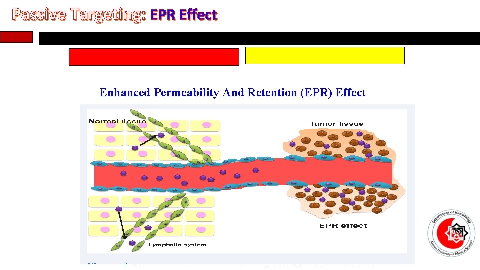 Passive Targeting: EPR Effect Enhanced Permeability And Retention (EPR) Effect 