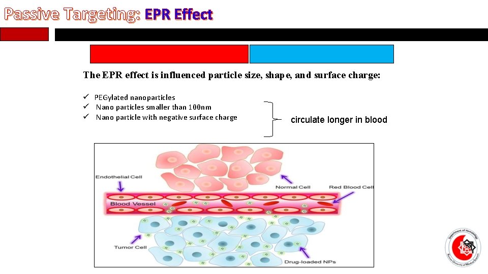 Passive Targeting: EPR Effect The EPR effect is influenced particle size, shape, and surface