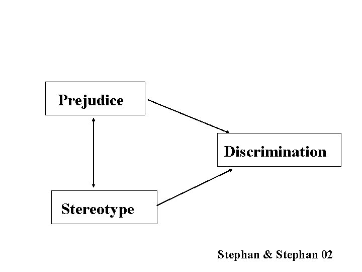Prejudice Discrimination Stereotype Stephan & Stephan 02 