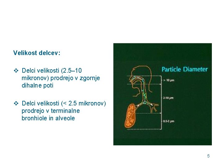 Velikost delcev: v Delci velikosti (2. 5– 10 mikronov) prodrejo v zgornje dihalne poti