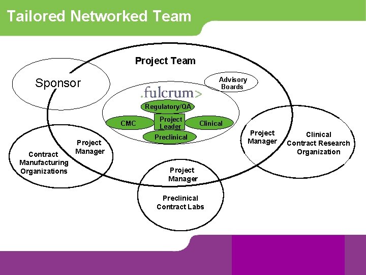 Tailored Networked Team Project Team Advisory Boards Sponsor Regulatory/QA CMC Contract Manufacturing Organizations Project