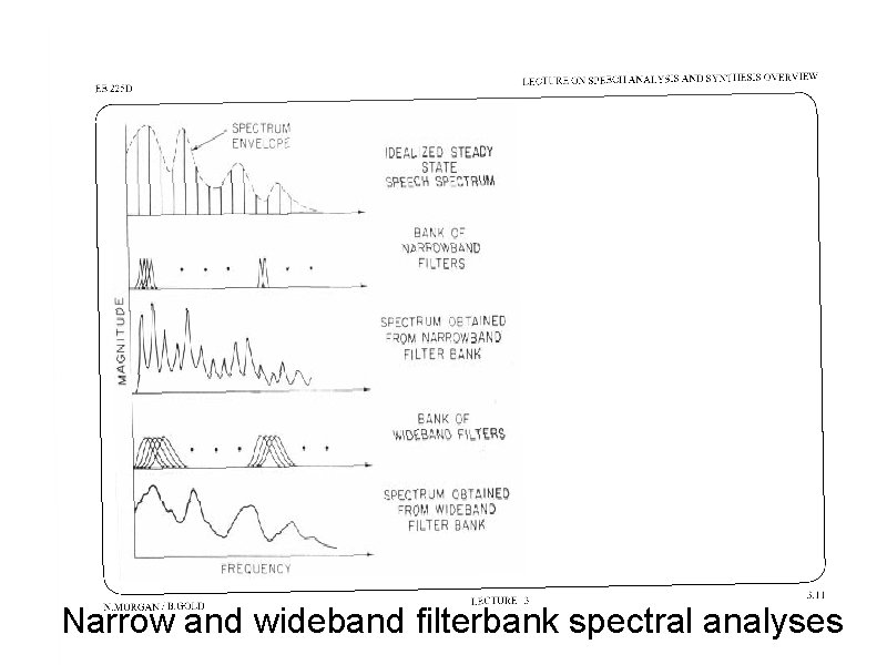 Narrow and wideband filterbank spectral analyses 