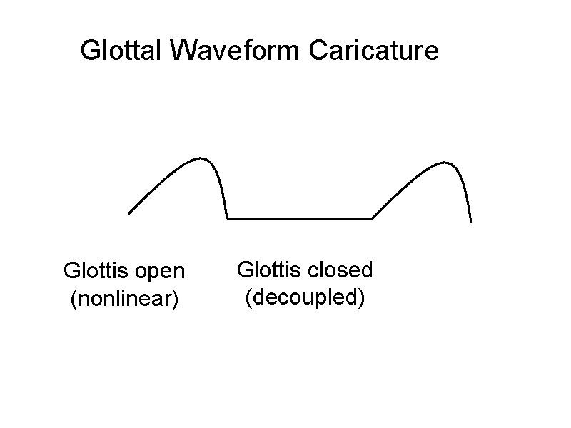 Glottal Waveform Caricature Glottis open (nonlinear) Glottis closed (decoupled) 