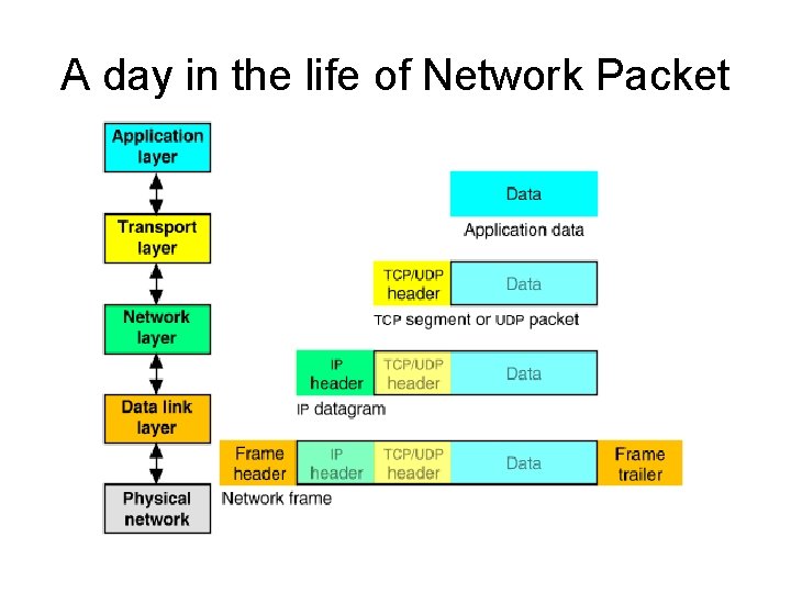 A day in the life of Network Packet A day in the life of Network Packet