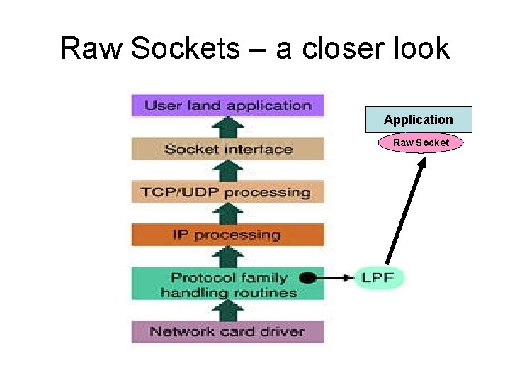 Raw Sockets – a closer look Application Raw Socket 