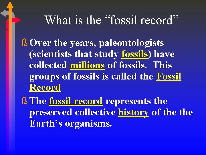 What is the “fossil record” ß Over the years, paleontologists (scientists that study fossils)