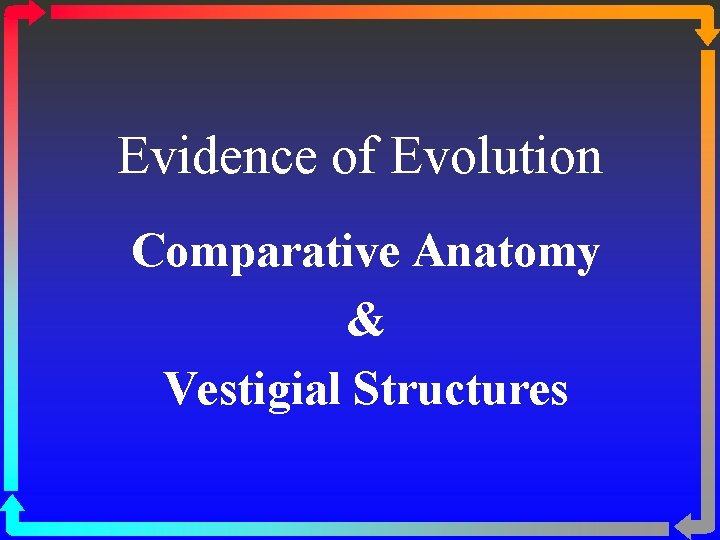 Evidence of Evolution Comparative Anatomy & Vestigial Structures 