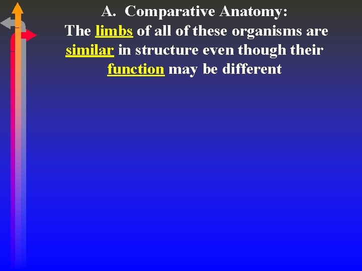 A. Comparative Anatomy: The limbs of all of these organisms are similar in structure