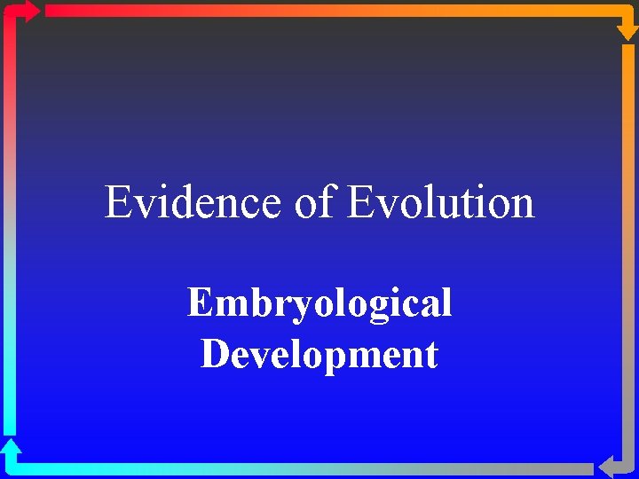 Evidence of Evolution Embryological Development 