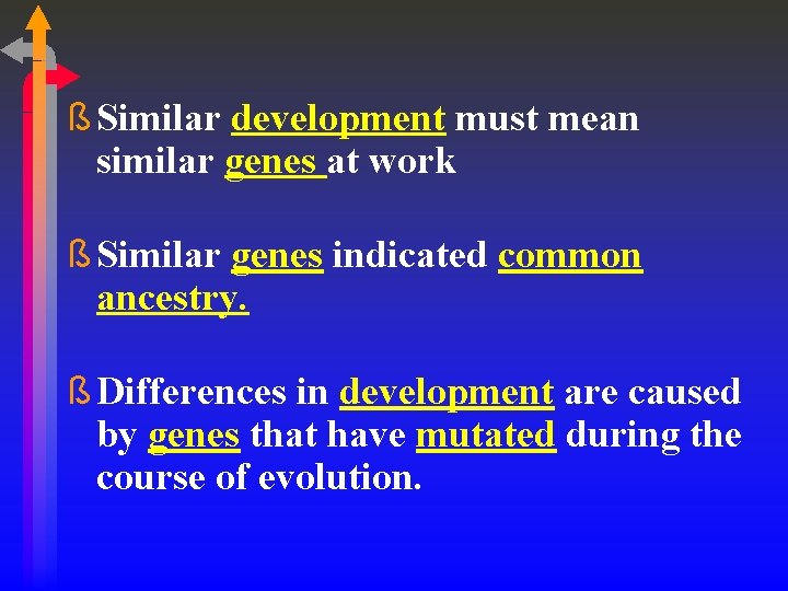 ß Similar development must mean similar genes at work ß Similar genes indicated common