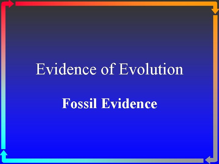 Evidence of Evolution Fossil Evidence 