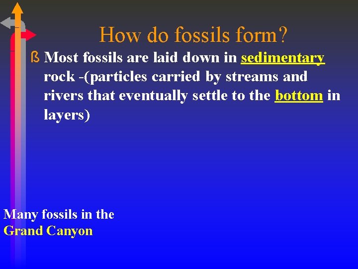 How do fossils form? ß Most fossils are laid down in sedimentary rock -(particles