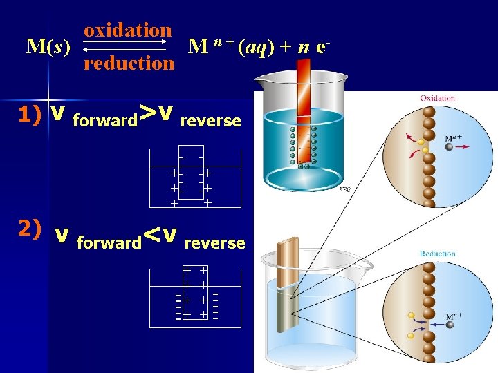 oxidation M(s) M n + (aq) + n ereduction 1) v forward>v reverse +