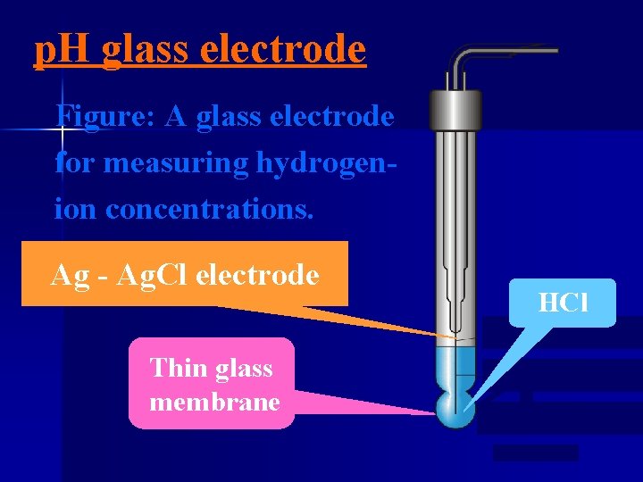 p. H glass electrode Figure: A glass electrode for measuring hydrogenion concentrations. Ag -