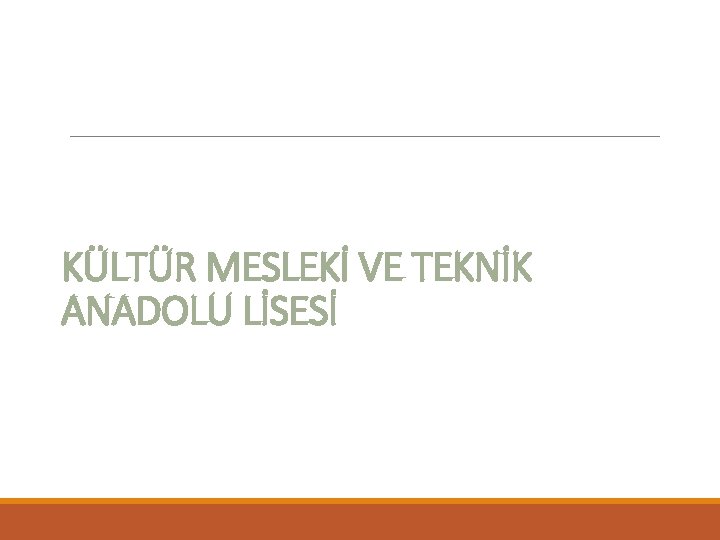 KÜLTÜR MESLEKİ VE TEKNİK ANADOLU LİSESİ 