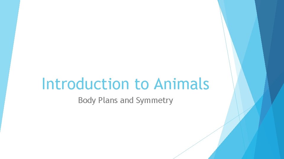 Introduction to Animals Body Plans and Symmetry Distinguishing