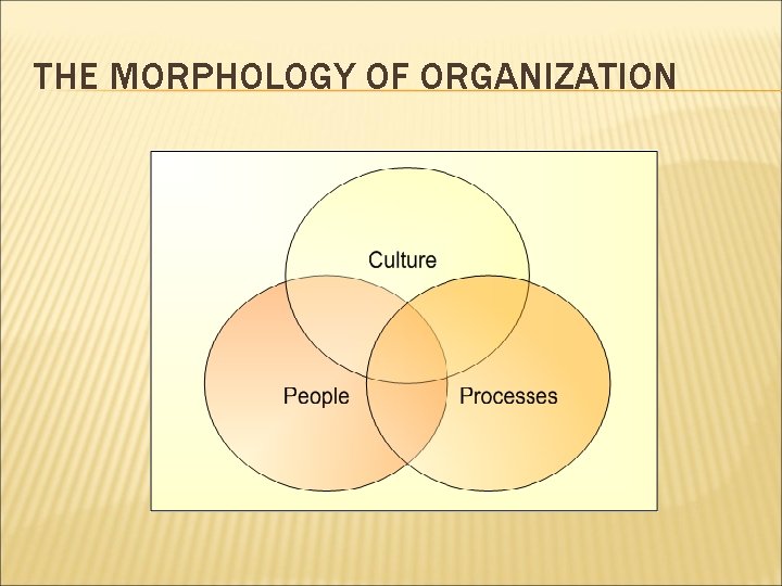 THE MORPHOLOGY OF ORGANIZATION 