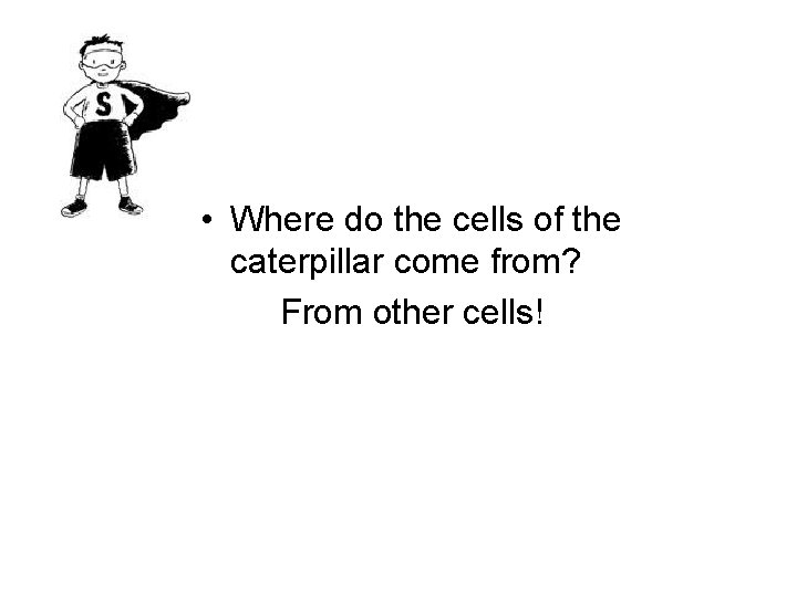  • Where do the cells of the caterpillar come from? From other cells!
