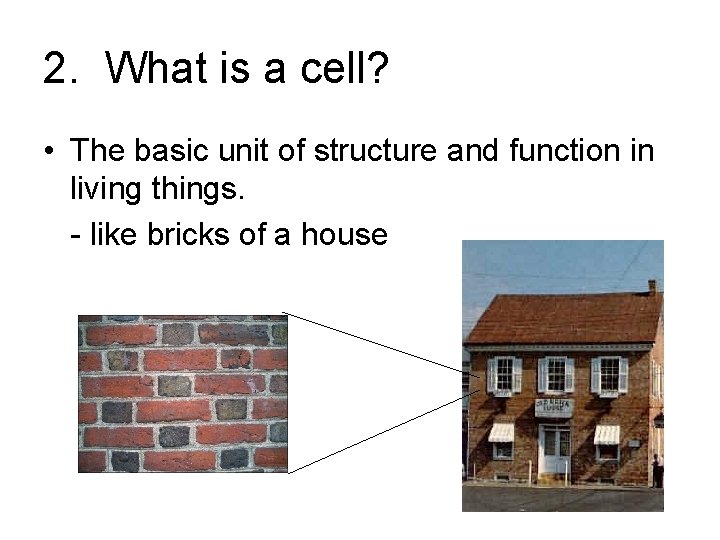 2. What is a cell? • The basic unit of structure and function in