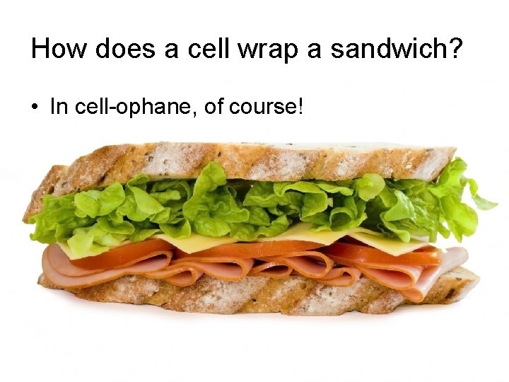 How does a cell wrap a sandwich? • In cell-ophane, of course! 